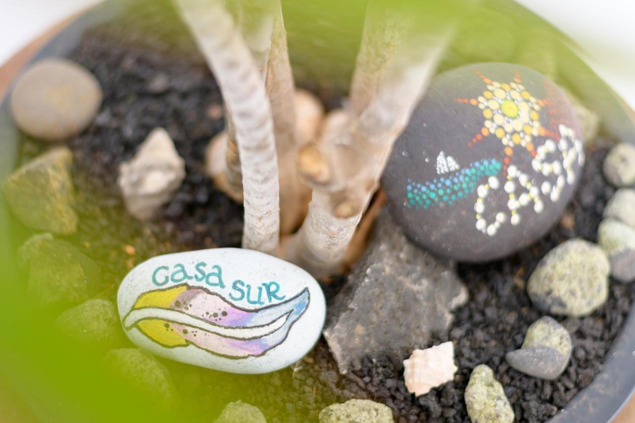 Casa Sur, Conil Villa ภายนอก รูปภาพ